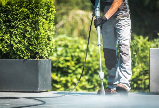 Best Graffiti Removal  in Biola, CA